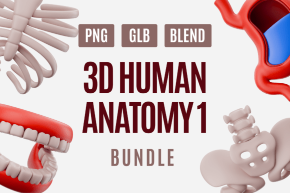 Human Anatomy 3D Model Pack 01: Elevating Medical Education and Design with Precision